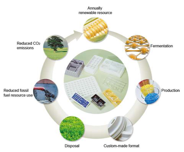 Biodegradable Coated Kraft Paper Material